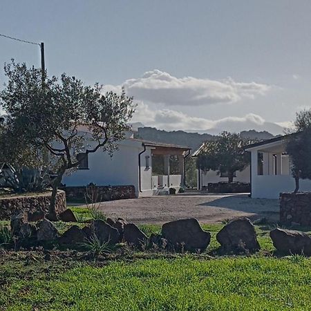 Agriturismo Sa Murta Dorgali Buitenkant foto
