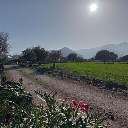 Agriturismo Sa Murta Dorgali Buitenkant foto