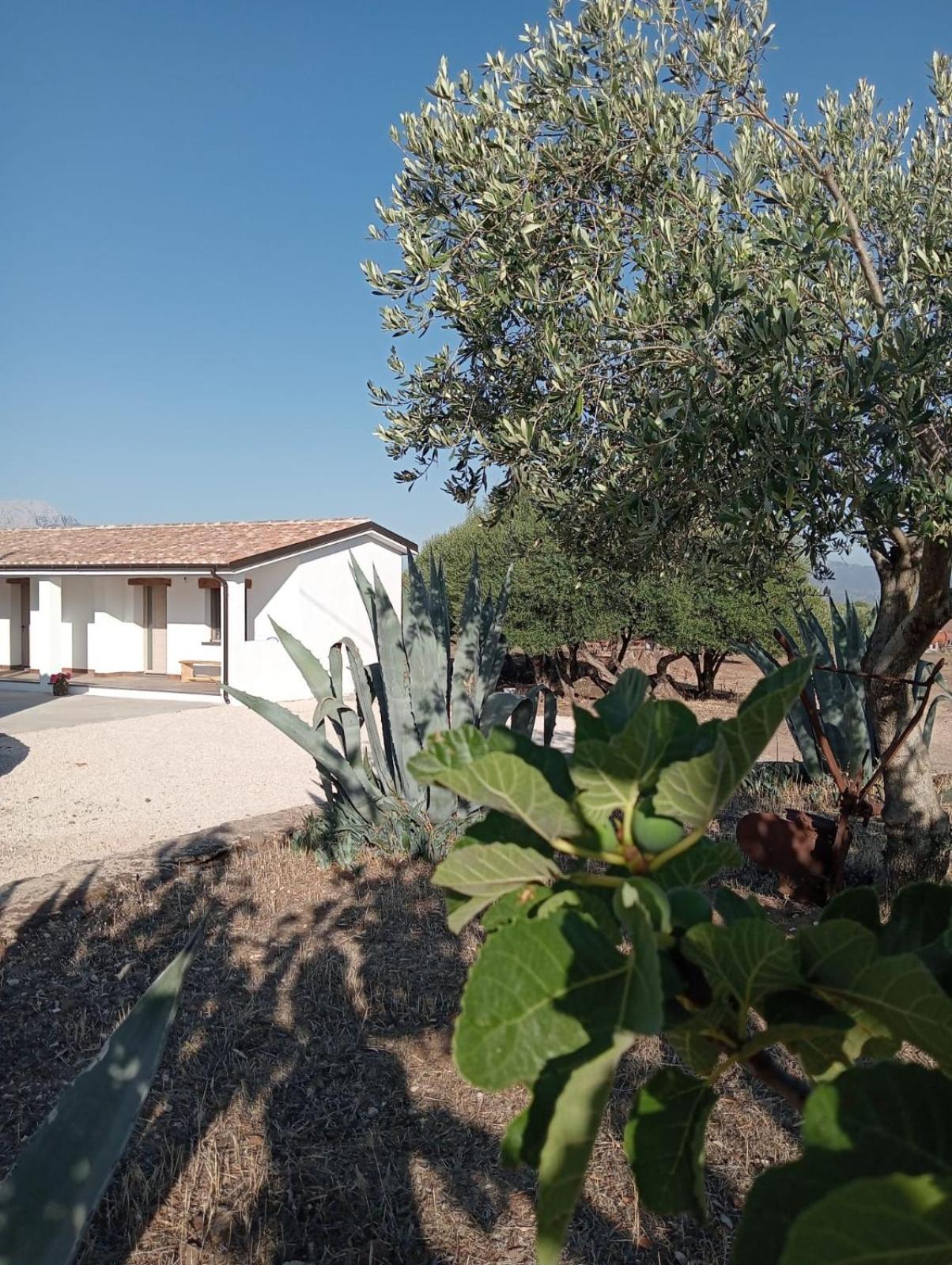 Agriturismo Sa Murta Dorgali Buitenkant foto