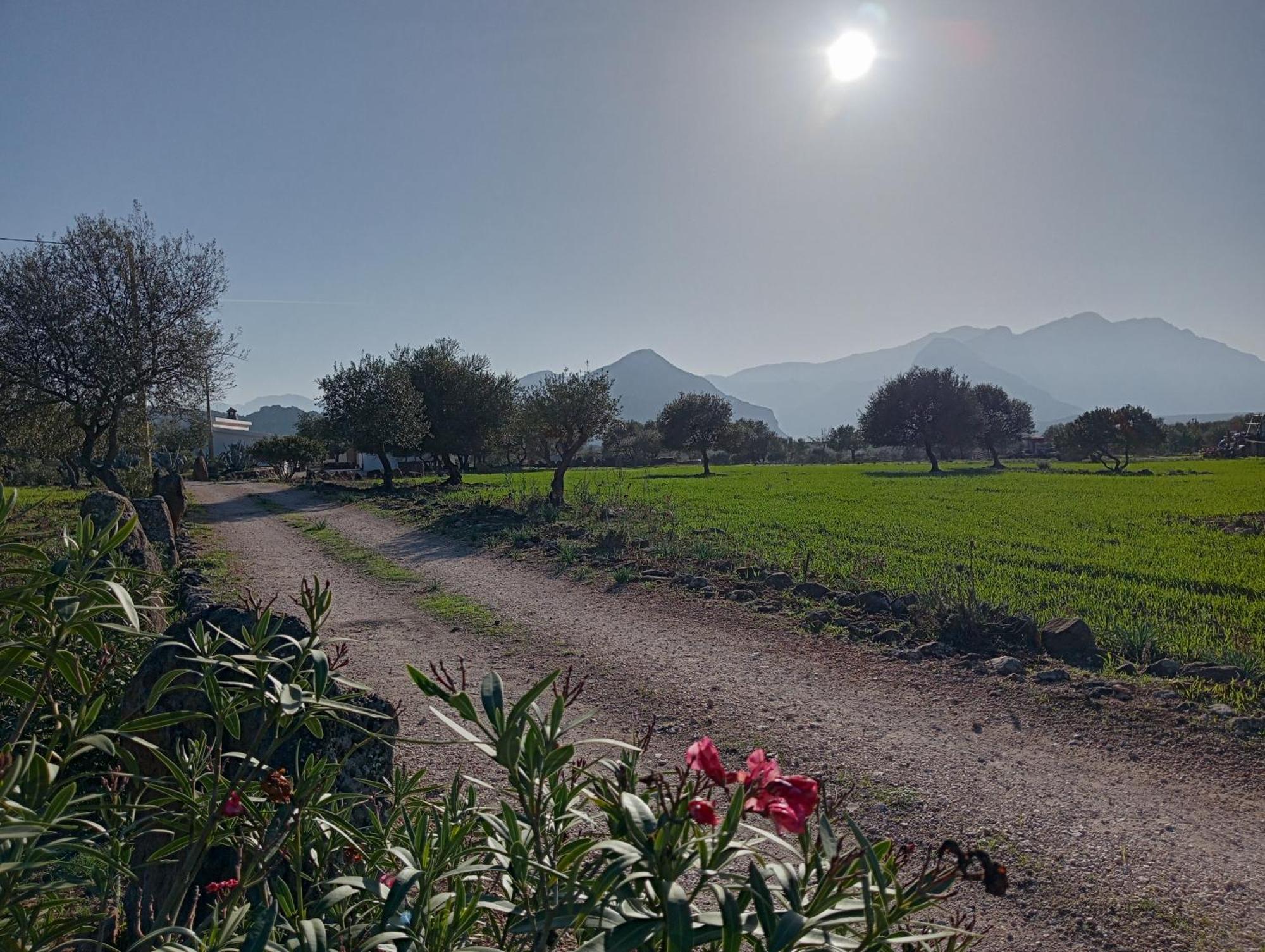 Agriturismo Sa Murta Dorgali Buitenkant foto