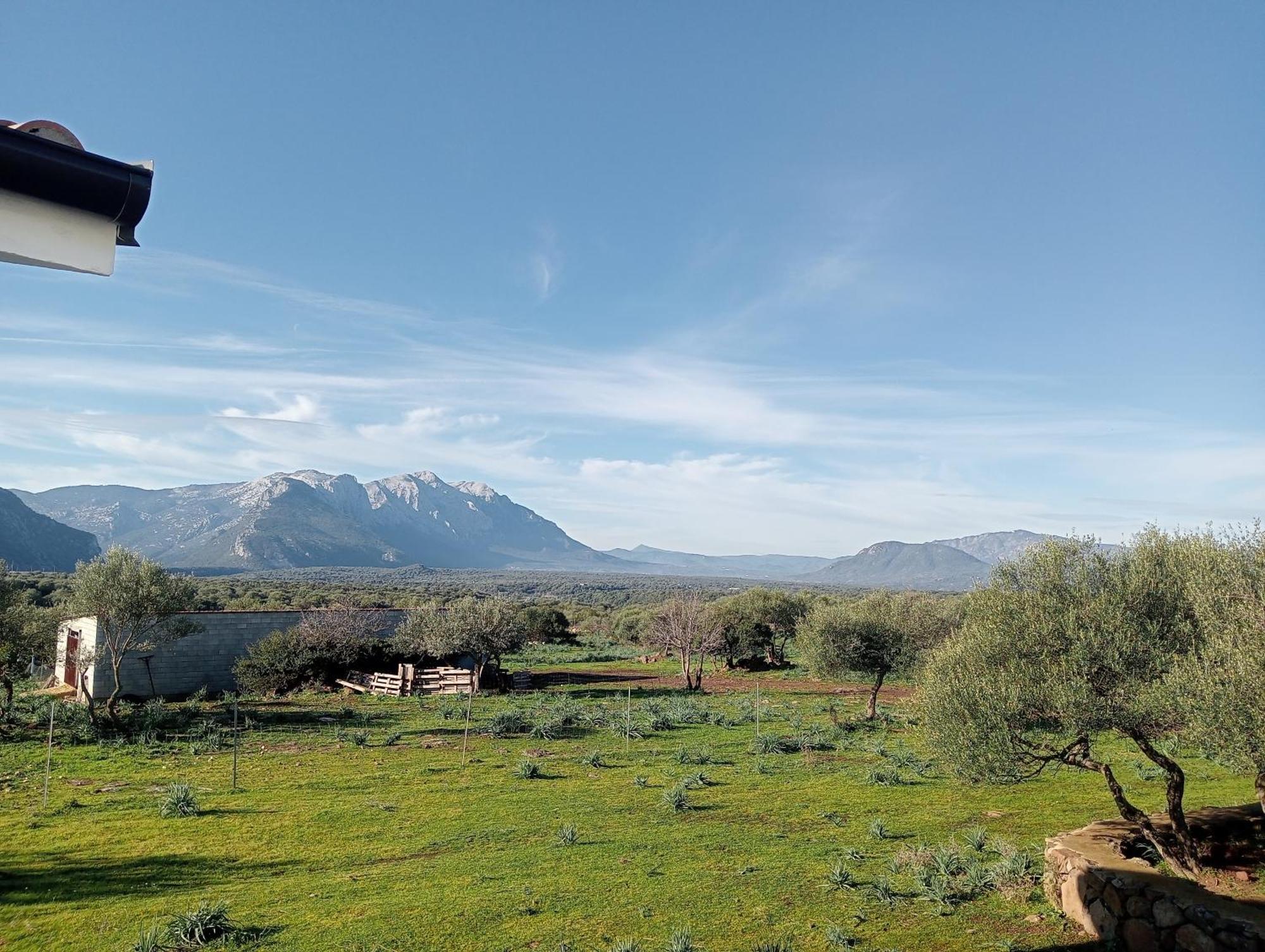 Agriturismo Sa Murta Dorgali Buitenkant foto